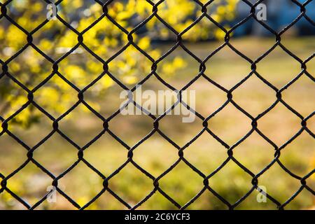 Iron mesh fence on a background of nature. Stock Photo