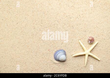 Top view of starfish and seashells on smooth sand surface Stock Photo