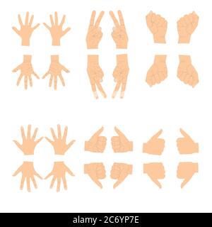Various gestures of human hands isolated on a white background. Vector flat illustration of female hands in different situations. Vector design Stock Vector