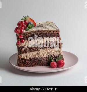 Slice of chocolate sponge cake on a white plate with cream and berries side view Stock Photo