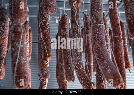 Beneficial mold growth on the salami i Stock Photo