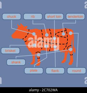 Cutting beef meat or steak cuts diagram chart Stock Vector