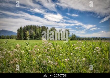 DE - BAVARIA: Loisach Moor near Bad Toelz Stock Photo