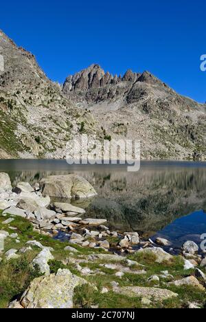 Lac Nègre in the Mercantour national park in summer in the Upper Vésubie valley Stock Photo