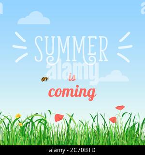 Vector illustration of summer is coming words in the field with flowers and a bee flying Stock Vector