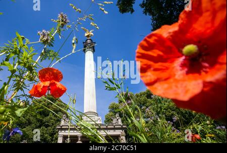 Munich, Germany. 13th July, 2020. Through a flower meadow with red corn poppy, the leaf-gilded bronze cast statue of the angel of peace can be seen enthroned on a 23-metre high column. The statue was erected to commemorate 25 years of peace after 1871 and stands above a small hall. Credit: Peter Kneffel/dpa/Alamy Live News Stock Photo