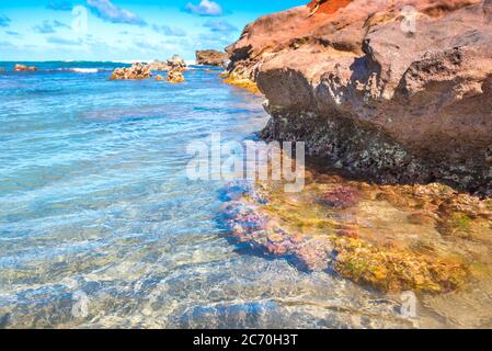 Coral reef visible through the crystal clear waters of the Caribbean Sea near Calibishie on the island nation of Dominica Stock Photo