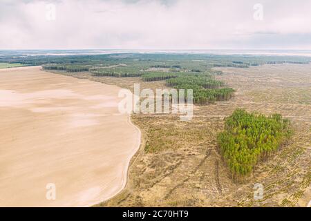 Aerial View Of Field And Deforestation Area Landscape. Green Pine Forest In Deforestation Zone. Top View Of Field And Forest Landscape. Drone View Stock Photo