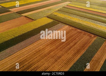 Aerial view of cultivated agricultural fields in countryside from drone pov, abstract rural farmland patchwork as background