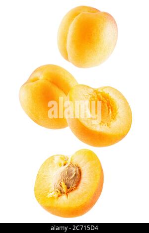 falling apricots isolated on a white background. Stock Photo