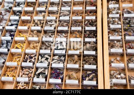 Indian necklaces on sale in a shop. Stock Photo