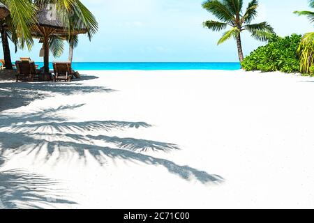 Palm leaf shadows on a white sand on tropical beach. Trendy holiday concept. Selective focus. Stock Photo