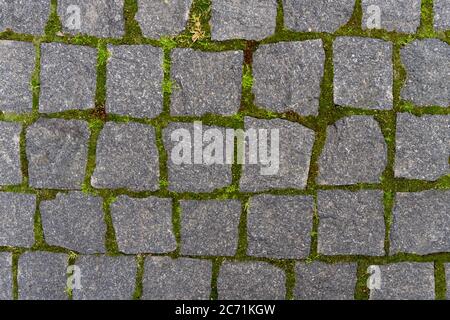 Background of gray wall with green moss Stock Photo