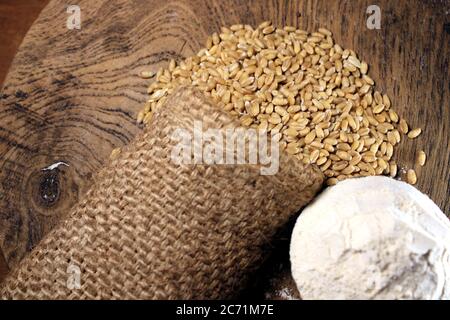 Pile of organic whole grain wheat. Fresh harvested wheat grain on wooden background. Wheat grains and wheat flour in wooden textured background. Stock Photo