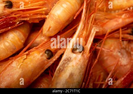 Cooked Atlantic shrimps. Close up. A traditional food of coastal cuisine Stock Photo