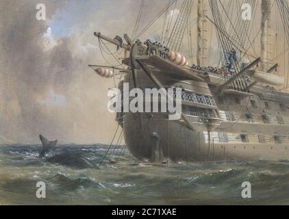 H.M.S. Agamemnon Laying the Atlantic Telegraph Cable in 1858: a Whale Crosses the Line, 1865-66. Stock Photo