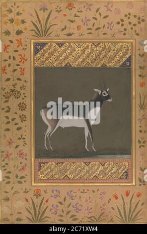 Black Buck, Folio from the Shah Jahan Album, recto: ca. 1615-20; verso: ca. 1530-50. Stock Photo