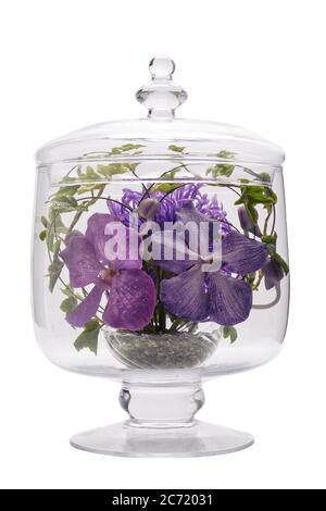 Bouquet of blue periwinkle flowers in glass vase Stock Photo