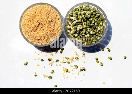 Fresh, healthy sprouted mung dal or moong beans. Toor dal ( skinned and split pigeon pea ) in a bowl. Yellow moong dal, skinned and split mung bean.