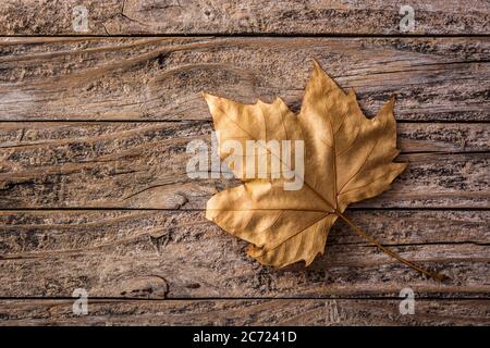 Autumn leaf on wooden background Stock Photo