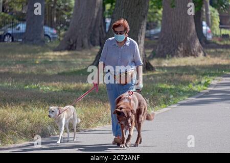 A middle aged woman wearing a surgical mask walks her two dogs in Kissena Park, Flushing, New York City. Stock Photo