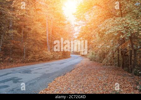 Autumn forest. Mystic charming enchanting landscape with a road in the autumn forest and fallen leaves on the sidewalk Colorful landscape with trees Stock Photo