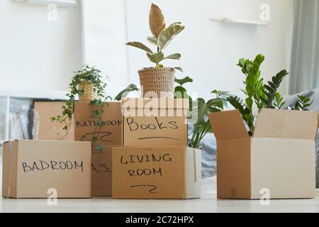 Image of a lot of signed boxes with things standing on the floor in new house Stock Photo