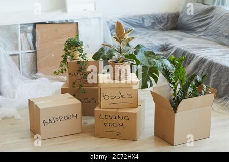 Image of packed signed boxes with things and plants standing on the floor in new apartment Stock Photo