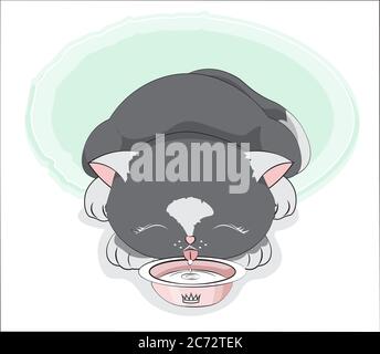 baby black kitten princess, cat, drinks milk from a bowl. Picture in hand drawing cartoon style, for t-shirt wear fashion print design, greeting card, Stock Vector