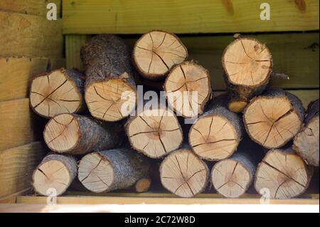 LOGS IN STORAGE SHED RE FIRES HEATING SMOKELESS THE ENVIRONMENT WOOD FUEL ETC UK Stock Photo