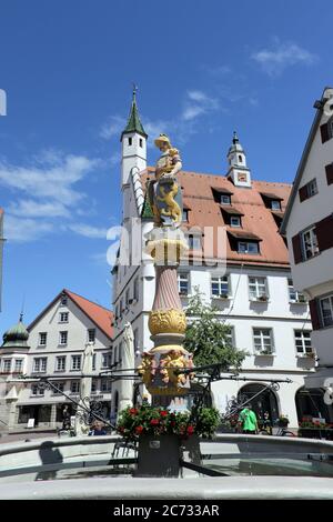 Marktbrunnen mit Ritterfigur, dahinter das historische Rathaus in der ...