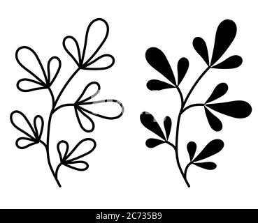 Botany. Vector drawing branches with leaves. Black outline and silhouette. Element for design and decoration, logo. Vector. Isolated Elements Stock Vector