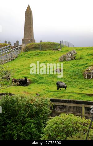 Kongaminnið or Kongaminnid the monument commemorates King Christian IX’ of Denmark visit to the Faroe Islands in 1874 with sheeps on the hill in foreground.Torshavn.Faroe Islands. Stock Photo