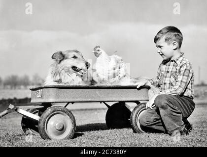 1950s FARM BOY WITH TOY WAGON CARRYING A COLLIE DOG AND A WHITE PET CHICKEN - d5014 HEL001 HARS COPY SPACE FRIENDSHIP FULL-LENGTH CARING FARMING MALES PETS DENIM B&W HAPPINESS MAMMALS AND CANINES FARMERS PRIDE COLLIE POOCH CONCEPTUAL STYLISH BLUE JEANS CANINE GROWTH INFORMAL JUVENILES MAMMAL POULTRY TWILL BLACK AND WHITE CASUAL CAUCASIAN ETHNICITY OLD FASHIONED Stock Photo