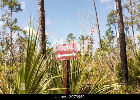 A signpost indicating a walking trail in the Everglades National Park, South Florida, USA Stock Photo