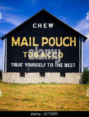 old west chewing tobacco HISTORY OF - tobacco was popularised by US cowboys and residents of country towns who couldn't get regular supplies of conventional products (1905 image Stock Photo Puffing, Chewing and Dippin' -
