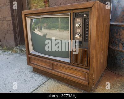 Old console analog TV with little dog reflection Stock Photo