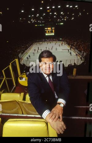 L.A. Kings owner Bruce McNall overlooking the ice at the Forum in Inglewood, CA Stock Photo