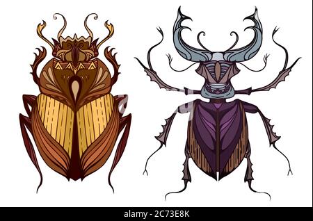 Insect set in color with a tribal pattern. Doodle scarab and beetle deer separate from the background. Vector element for your creativity Stock Vector