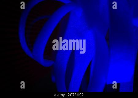 Close-up of blue abstract stripes of foamy material on dark background Stock Photo
