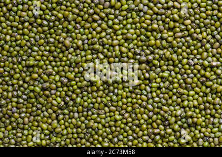 Mung Beans In Close Up Detail. Stock Photo