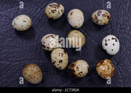 fresh quail eggs isolated on dark black background Stock Photo