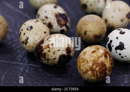 fresh quail eggs isolated on dark black background Stock Photo