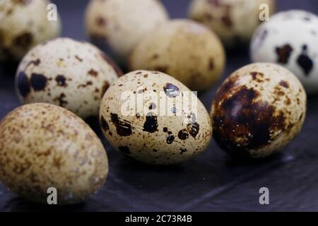 fresh quail eggs isolated on dark black background Stock Photo