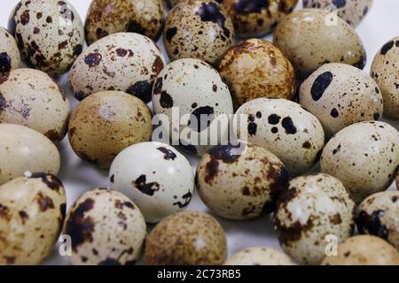 fresh quail eggs isolated on white background Stock Photo