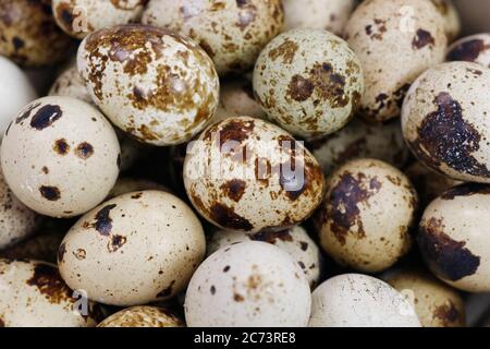 fresh quail eggs isolated on white background Stock Photo