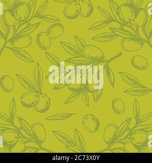 Olive drawing on the olive colour background. Olives are very high in vitamin E and other powerful antioxidants. Stock Vector