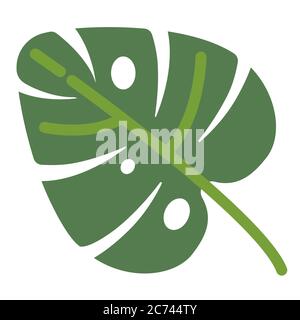 Monstera leaf, tropical flora and floral decoration vector Stock Vector