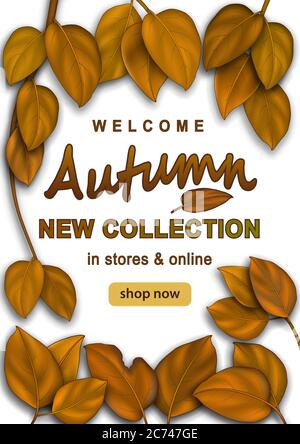 Autumn special offer banner with semi realistic autumn leaves in fall colors. Season card perfect for prints, flyers, banners, promotion, special offe Stock Vector
