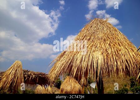 Group of Straw Beach Parasols with Sunny Cloudy Sky on the Backdrop Stock Photo